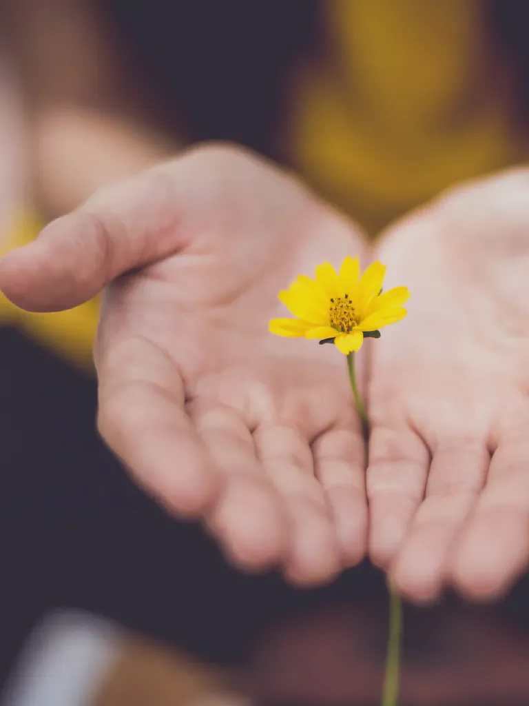 Saúde mental não é luxo: 5 hábitos para cuidar da mente no dia a dia